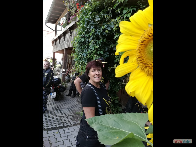 Sommerausfahrt_2019_028