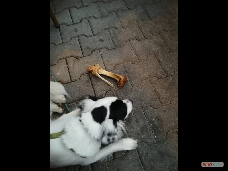 Sommerausfahrt_2019_037