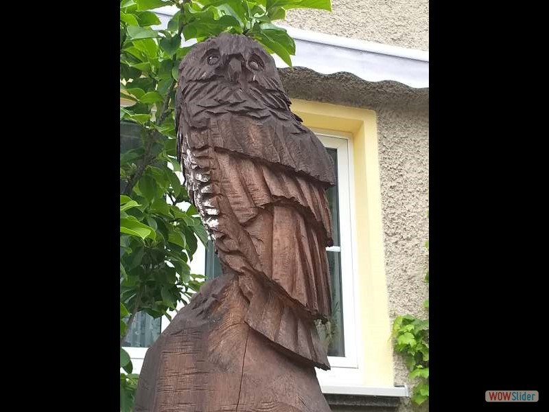 Sommerausfahrt2023_020